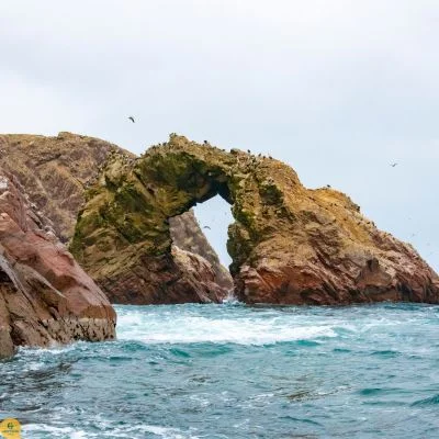 paracas2